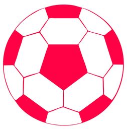 华体会入口-体育类短视频内容对青少年运动行为的引导作用研究，体育短视频定义